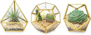 Mkono 4 Inches Mini Glass Geometric Terrarium Container Set of 3 Modern Tabletop Planter Shelves Decor Display Centerpiece for Succulent Miniature Fairy Garden Air Plant, Gold (Plant Not Included) by CozyNest Decor