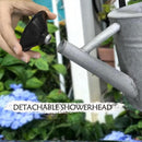 Metal Watering Can, One Gallon Watering Cans Stainless Steel for Outdoor Indoor Garden Plants Watering (Silver 1 Gallon) by GreenHaven Gardens