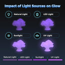 FLASHFORGE Rapid PLA Filament 1.75mm Luminous Purple, 500mm/s High Speed Printing, Glow in The Dark 3D Printer Filament 1kg Spool, Dimensional Accuracy +/- 0.02mm, Brilliant, Long-Lasting Glow by TinyTreasures Baby Boutique