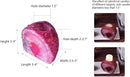 AMOYSTONE Dual-Purpose Agate Stone, 1-1.5lb Plant Terrarium & Candle Holder Base, for Boho Home Office Accent by CozyNest Decor