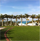 Brownie Brand Majestic Hulled Bermudagrass Seed | Premium Turf Grass for Dense, Drought-Resistant Lawns | Fast-Growing, Heat-Tolerant, Certified Seed for High-Traffic Areas. (25 Pound) by GreenHaven Gardens