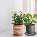 Ceramic Plant Saucer Pot Tray 12 Inch, Planter Saucers 4 5 6 7 8 9 10 11 12 13 Inch for Indoors Outdoor, Durable Sturdy Flower Drainage drip Water Tray for Glazed Pots Base (12.7 Inch-Grey) by GreenHaven Gardens