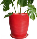 Ceramic Pot for Plants - 8 Inch Plant Pot for Indoor Plants Outdoor Round Planter Modern Flower Pot with Drainage Hole and Saucer Home Garden Office Porch Decor Red by GreenHaven Gardens