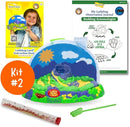 Insect Lore Bug Camp Bundle - Butterfly Kit with 5 Live Caterpillars, Ladybug Land with 1 Tube Live Larvae, Ant Mountain with 1 Tube Live Western Harvester Ants - Bonus Life Cycle Figurines & More by TinyTreasures Baby Boutique
