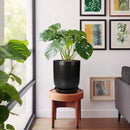 Ceramic Planter 10 Inch - Ceramic Pot for Indoor Plants Outdoor Plant Pot with Drainage Hole and Saucer Cylinder Flower Pot Black by GreenHaven Gardens