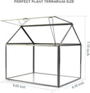 Black 1 Large Glass Plant Terrarium Kit with Lip Greenhouse for Succulents by GreenHaven Gardens