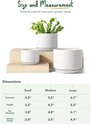 LE TAUCI Ceramic Plant Pots, 4.3+5.3+6.8 inch, Set of 3, Planters with Drainage Hole and Saucer, Indoor Flower Pot with Hole Mesh Pad, Gifts for Mom, White by GreenHaven Gardens