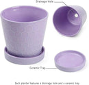 Plant Pots Indoor –5 in Ceramic Flower Pot with Drainage Hole and Ceramic Tray - Gardening Home Desktop Office Windowsill Decoration Gift, Set of 4 - Plants Not Included(Purple) by GreenHaven Gardens