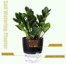 Vanavazon 6 Inch Self Watering Planter Pots for Indoor Plants, 3 Pack African Violet Pots with Wick Rope-Black by CozyNest Decor