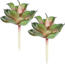 Duovlo Artificial Succulent Plant 7.08 Inch Faux Succulents Agave potatorum Flower Arrangement Craft Wall DIY Materials,Pack of 2 (Pink) by GreenHaven Gardens