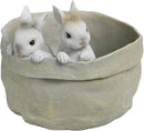 Newman House Studio Spring Bunny Flower Pot Easter-Decor - Decorative Garden Pots Cactus-Succulents Bunny Flower Pots Indoor Outdoor Plant Pots for Home Farmhouse Décor 7.5 * 7.4 * 6.1 Inch by GreenHaven Gardens