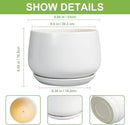G EPGardening Ceramic Planter 9 Inch - Plant Pots with Drainage and Ceramic Saucer, Flower Pots for Indoor Plants, Modern Outdoor Planter, Living Room Decor, Gifts for Plant Lovers, White by GreenHaven Gardens