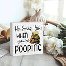 Funny Sea Turtle Bathroom Decor, Bathroom Beach Decoration, Are You Pooping Sign Funny Ocean Turtle Decor, Wooden Box Decor Sign for Home Farmhouse Office Living Room Table Shelf Tiered by CozyNest Decor