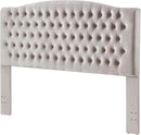 24KF Upholstered Tufted Button Velvet Headboard,Comfortable Fashional Headboard King/CA King Size,Taupe by CozyNest Decor
