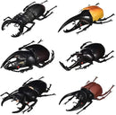 Hiawbon 5.5 inch Fake Beetle Simulated Beetle Model Realistic Plastic Beetle Figures for Fairy Garden Decoration, Set of 6 by GreenHaven Gardens