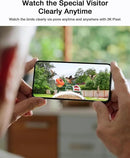 Bird Feeder with Camera-2K Live Video, Solar-Powered, Smart AI Identify Birds, 2L Food Capacity, Arrived Alerts, Bird Videos Storage, Mini Hummingbird Feeder for Watching Birds Outdoor by CozyNest Decor