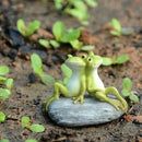 Top Collection Miniature Fairy Garden and Terrarium Statue, Frog Friends on Stone by GreenHaven Gardens