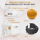 The Balmy Drum - 11 Note 10 Inch Steel Tongue Drum, Steel Drum Instrument, Drums For Children and Adults, Balmy Drum Set for Kids with Music Book, Handpan, Mallet and Carry Bag (Gold) by TinyTreasures Baby Boutique
