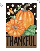 Fall Thankful Garden Flag Autumn Pumpkin Garden Flag 12x18 inch Double Sided Fall Thanksgiving Flags Holiday Decorations for Yard Outdoor Home Porch (Flay 1807) by GreenHaven Gardens