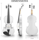 4/4 Beginner Violin Kit for Adults, Complete Full Size Violin Set with Portable Case, Bow, Rosin, White by TinyTreasures Baby Boutique