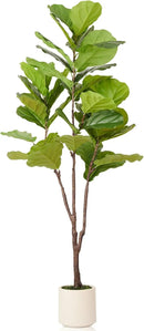 Artificial Fiddle Leaf Fig Tree, 6FT Faux Ficus Lyrata Plant with Realistic Leaves, Lifelike Home Decor Faux Tree in Stylish Pot for Indoor, Office, Living Room Decor (6ft) by CozyNest Decor