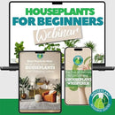 Stainless Steel Watering Can for Houseplants by Houseplant Resource Center | 1L Capacity for Indoor/Outdoor Plants in Brushed Gold by GreenHaven Gardens