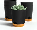 4 inch Small Plant Pots for Outdoor Indoor Plants, 10 Pack Planters with Drainage Holes and Tray, Small Self Watering Pots for Succulent, Cactus, Aloe and Other Plants (Black) by GreenHaven Gardens