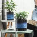 Nihow Ceramic Plant Pot: 6 Inch Planter with Drainage Hole & Saucer for Indoor & Outdoor Plants - Cylinder Round Flower Pot for Succulent/Herbs/Violets - Black & Vivid Blue by CozyNest Decor