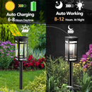8 Pack Solar Lights Outdoor Waterproof for Garden Pathway Walkway Driveway Yard Lawn Decorative Landscape Lighting. (Cool White Light, 8) by GreenHaven Gardens