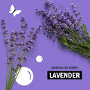 Molly's Suds Super Powder Detergent | Extra Strength Laundry Soap, Stain Fighting | Sensitive Skin | Simple, Effective Ingredients | 60 Loads - Lavender by CozyNest Decor