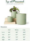 LE TAUCI Ceramic Plant Pots Indoor, 10+8+6 Inch Planters for Indoor Plants, Mid-Century Modern Pots with Drainage Hole and Plug, Cylinder Round Planters, Set of 3, Sage Green