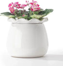 Self Watering Plant Pot, 6 Inch African Violet Pots Maintenance, Ceramic Self-Watering Planter for Indoor Plants - Ideal Flower Pot for Thriving Indoor Gardens by GreenHaven Gardens