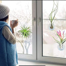 40 Pack Air Plant Stand Holder Tillandsia Airplant Container with Suction Cup Tabletop Planter Display Racks for Hanging Tillandsia House Plants by GreenHaven Gardens