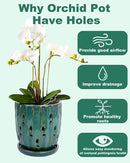 vensovo 6 Inch Ceramic Orchid Pot - Orchid Pot with Holes for Repotting, Ceramic Planter with Saucer for Indoor/Outdoor Plants, Green by GreenHaven Gardens
