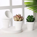 Yishang 36 pcs Small Mini White Clay Pots, 2.5'' Terracotta Pot Clay Ceramic Pottery Planter,Cactus Flower Terra Cotta Pots,Succulents Nursery Pots,with Drainage Hole,Great for Crafts,Wedding Favor by GreenHaven Gardens