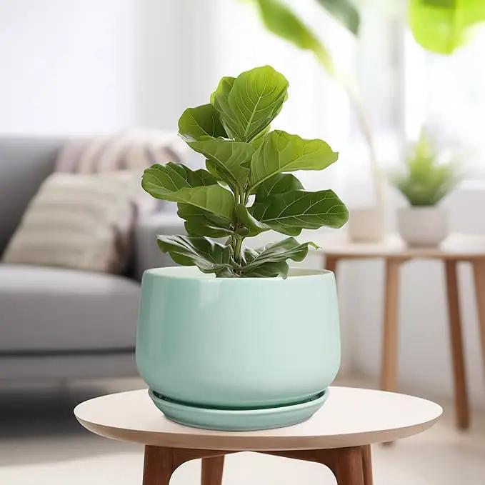 G EPGardening Ceramic Pots for Plants - 9 Inch Ceramic Planter with Drainage and Saucer, Round Planter for Indoor Outdoor Plants, Modern Flower Pots, Garden Decor, Birthday Gifts, Green, photo 4 of 8