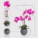 Faux Pink Orchid Plant, Premium Artificial Indoor Flower Display Stands 25-Inches with Beautiful Sculptural Blooms and Foliage That Lasts Forever, Grey Planter Pot Included by CozyNest Decor
