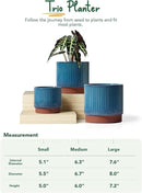 LE TAUCI Ceramic Plant Pots with Drainage Holes, Set of 3, 8+6.7+5.5 Inch Stripe Garden Planter Pots for Outdoor Indoor Plants Flower, Round Succulent Orchid Flower Pot Small to Large Size, Blue by GreenHaven Gardens