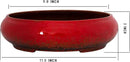ARTKETTY Succulent Pots - 11.5 Inch Ceramic Bonsai Pots with Drainage, Large Shallow Succulent Planters for Indoor Outdoor Plants, Round Glazed Cactus Flower Plant Container Bowl Home Desk Decor(Red) by GreenHaven Gardens