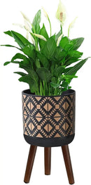 Flower Pot with Legs Tall Flower Pot with Drainage Holes for Indoor and Outdoor Decorative Planting (Black Gold, 10 Inches) by CozyNest Decor