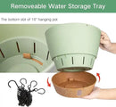 QCQHDU 2 Pack 10 inch Hanging Planters for Indoor Plants, Outdoor Hanging Baskets, Self Watering Pots with Drainage Holes & Removable Tray (Green, 10 inch) by GreenHaven Gardens