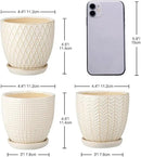 Oairse 4 inches Ceramic Planter Pots 3 Set of Small Round Flower Pots with Drainage Hole and Ceramic Tray for Succulents Cactus Indoor Outdoor Garden Home Windowsill by GreenHaven Gardens