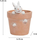 Easter - Spring Flower Pot - Bunny Decor - Easter Decoration - Decorative Garden Pots for Cactus Succulents Planter with Drainage Hole for Home Farmhouse Decor 5.75 x 5 x 7.25 inch Newman House Studio by GreenHaven Gardens