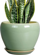 8 Inch Plant Pot - Ceramic Planter for Outdoor Plants Indoor Plant Pot with Drainage Hole and Saucer Mid-Century Round Planter Flower Pot for House Garden Green by GreenHaven Gardens