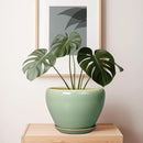 Ceramic Planter Pot - 10 Inch Plant Pot for Indoor Plants Decorative Planter with Drainage Hole and Saucer Large Pot for Plants Outdoor Round Flower Pot for Garden Green by GreenHaven Gardens