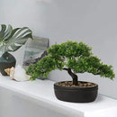 Artificial Bonsai Tree Juniper Faux Plants Indoor Small Fake Plants Decor with Ceramic Pots for Home Table Office Desk Bathroom Shelf Bedroom Living Room Farmhouse Decorations by GreenHaven Gardens