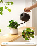 Baffect Watering Can Indoor Plants, 1.2L/41OZ Cute Watering Can Pot, Metal Stainless Steel Garden Water Can with Long Spout for Indoor House Plants Bonsai Outdoor Garden Flower Decorative by GreenHaven Gardens