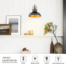 zeyu Gooseneck Wall Lights 2 Pack, 11 Inch Farmhouse Barn Light Fixtures Indoor and Outdoor, Metal Dome Shade in Oil Rubbed Bronze Finish, 016-1B-2PK ORB by CozyNest Decor