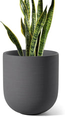 LE TAUCI 10 Inch Plant Pot, Ceramic Pots for Plants with Drainage Hole and Rubber Plug, Plant Pots Indoor for Home Garden Patio Office, Cylinder Planters for Indoor Plants, Charcoal Gray by GreenHaven Gardens