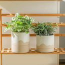 Nihow Self Watering Plant Pot: 6 Inch Ceramic Planter with Drainage Hole & Water Storage Plus for Indoor & Outdoor Plants - Cylinder Round Flower Pot for Succulent/Herbs/Violets - White & Nature by GreenHaven Gardens